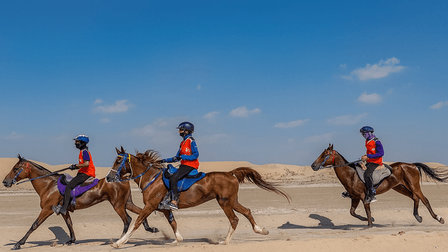 512 فارساً يفتتحون موسم القدرة الإماراتي في بوذيب 2025-2026 