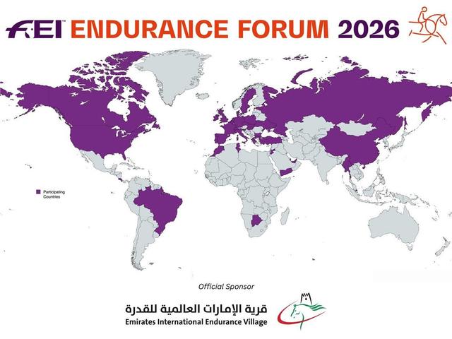 برعاية منصور بن زايد، تنظيم المنتدى الدولي للقدرة في إيطاليا