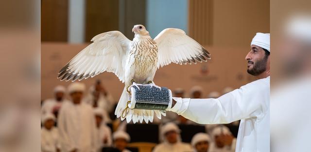 صقر بـ 571 ألف دولار  يسجّل رقماً قياسياً عالمياً في أبوظبي